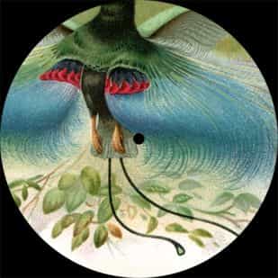 Alejandro Mosso presenta su tercer disco Mosso03