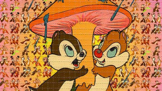 LSD: Es posible que un Ciego “Vea” bajo sus Efectos ?