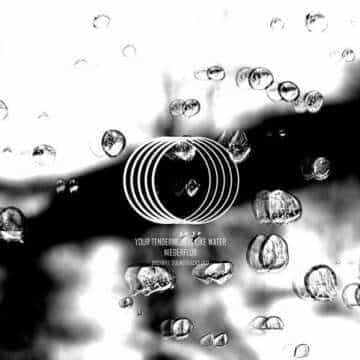 Niederflur – Your Tenderness Is Like Water