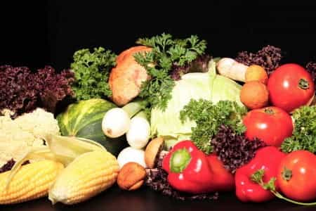 ¿Qué son los Transgénicos? ¿Cómo dañan a los Seres Humanos?