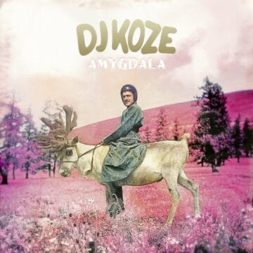 Amygdala, lo nuevo de Dj Koze