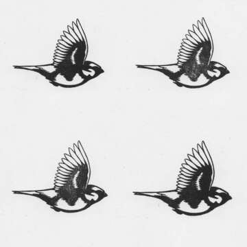 Escucha: Shifted & Ventress @ Electronic Explorations