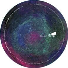 Birdie presenta su nuevo compilado de varios artistas