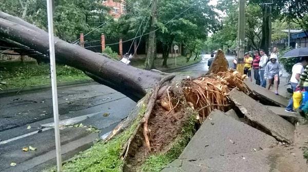 Fotos del Vendaval de Envigado