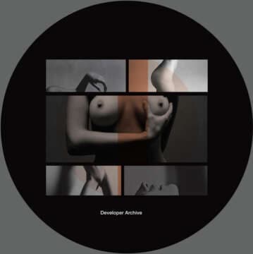 REVIEW: Developer – Developer Archive 4