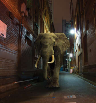 Planet Mu anuncia el debut del proyecto Misty Conditions…