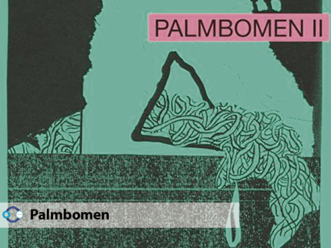 Disfruta los Snnipets del nuevo álbum de Palmbomen