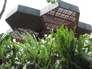 Las conexiones por Wi-Fi estarían dañando nuestros árboles !!!