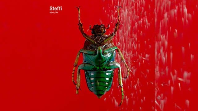 Fabric 94 es firmado por Steffi