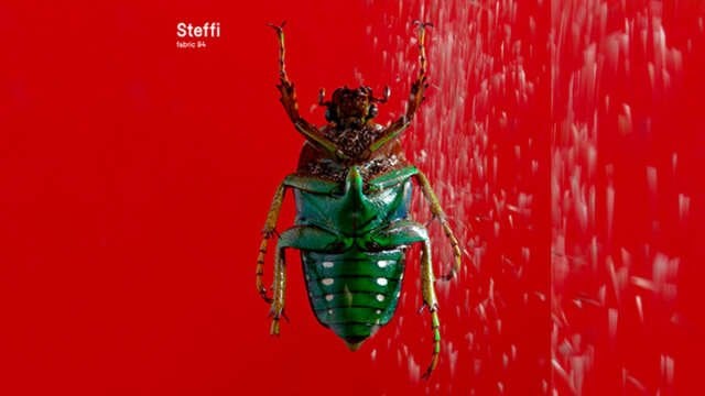Fabric 94 es firmado por Steffi
