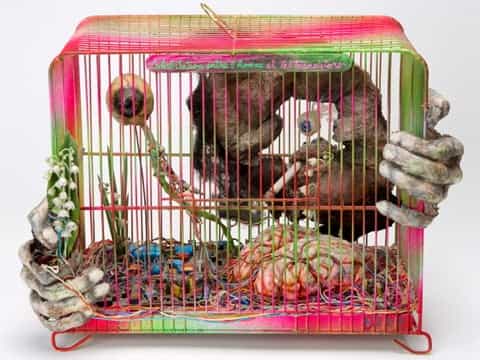 Fotos: Todo el horror del mundo cabe en estas cajas