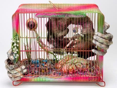 Fotos: Todo el horror del mundo cabe en estas cajas