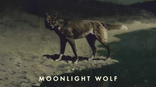 Henry Saiz y Reality Is For Those Who Are Not Strong Enough To Confront Their Dreams