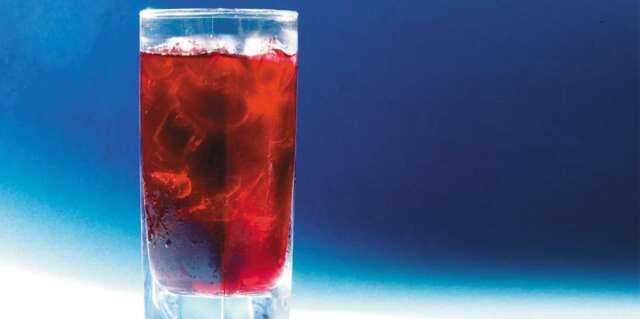 15 maravillosos Cocteles para prepararlos usted mismo!!