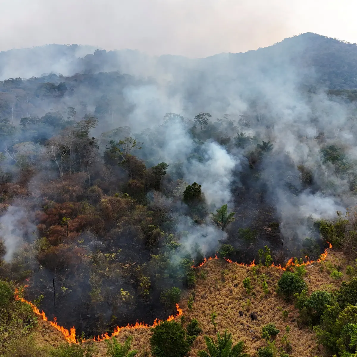 En la Amazonia, las lluvias escasean y los megaincendios abundan