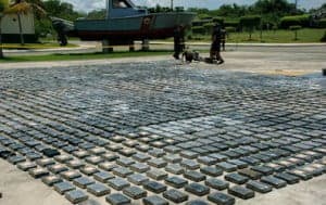 Una mirada al World Drug Report de las Naciones Unidas 2009.