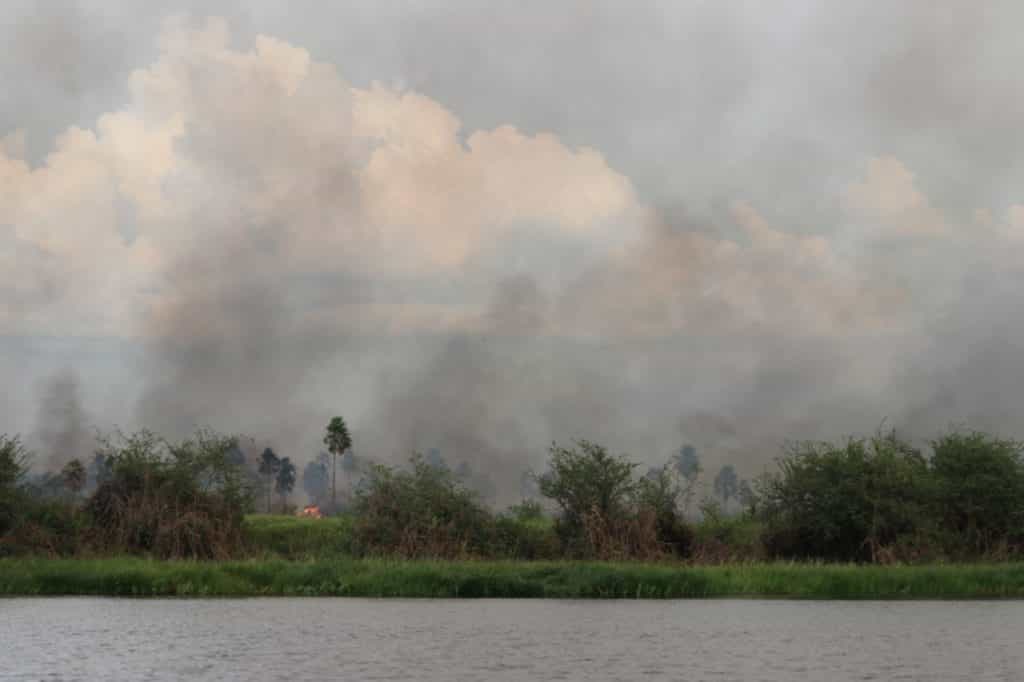 El humedal más grande del mundo se quema (Queda en Sudamérica)