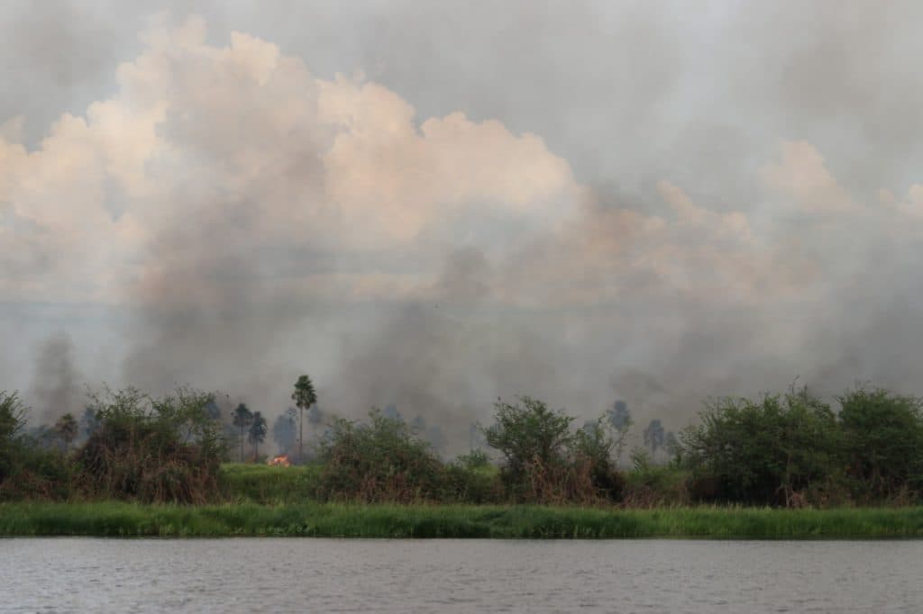 El humedal más grande del mundo se quema (Queda en Sudamérica)