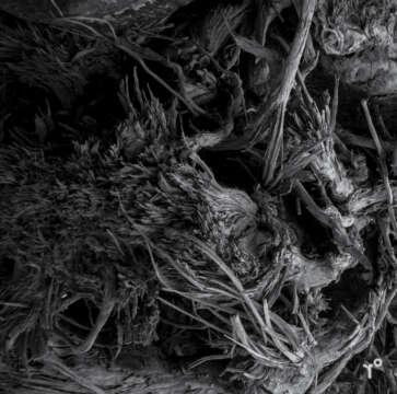 Las texturas de studio r°