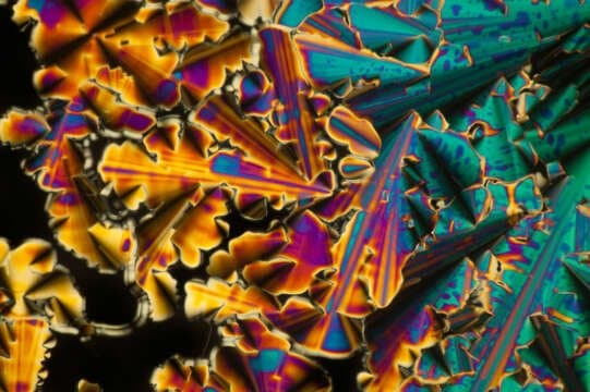 La Belleza Interior ? Cristales de ADN en GIFS !!! INCREÍBLE !