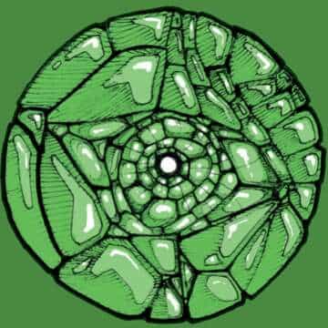 Lo nuevo de Francisco Allendes