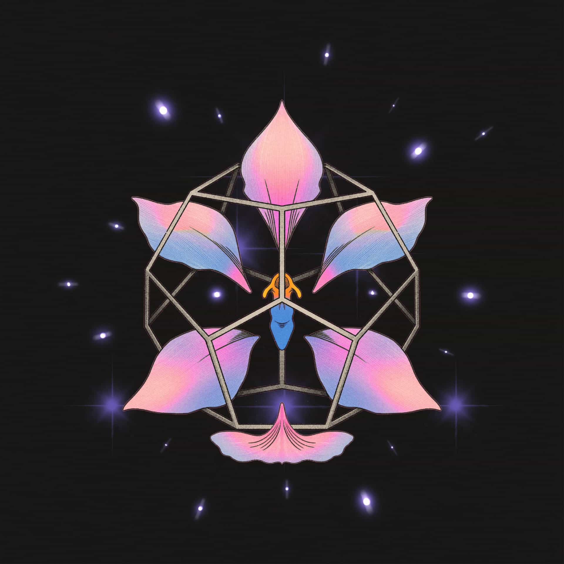 Monofonicos presenta nuevo lanzamiento de CYANEA