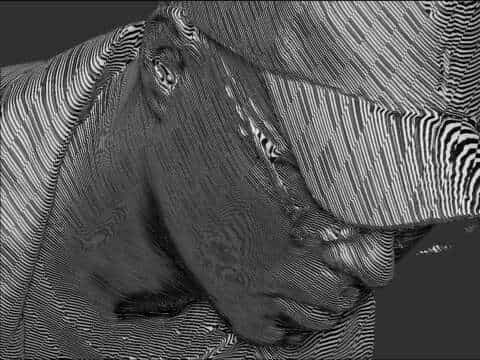 Moiré alude al tiempo-espacio con No Future