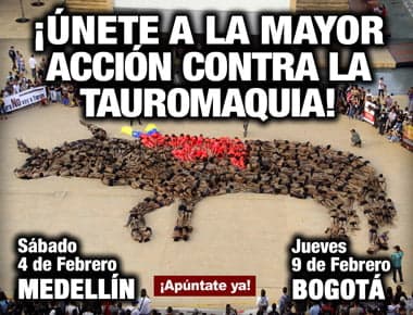 Ponte en la Piel del Toro en Bogotá y Medellín ¡Participa!