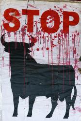 Sitios taurinos son atacados por el colectivo Anonymous