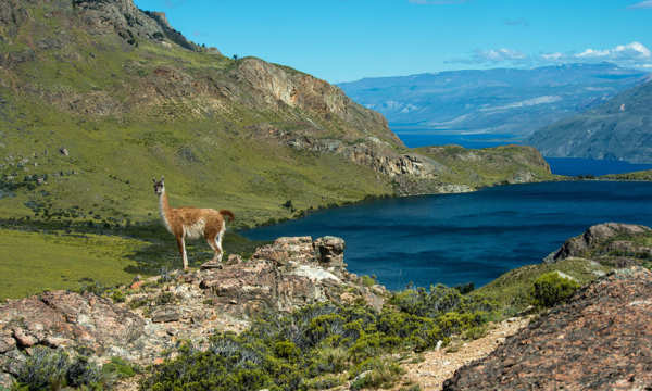 El 21% del territorio chileno es reserva ambiental, Colombia cuenta con un 14% de su territorio protegido