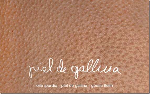 Curiosidad: Piel de gallina con la música