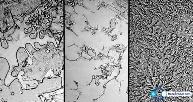 Fractales: Mirar los tipos de lágrimas a través de un microscopio da resultados INCREÍBLES
