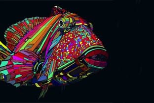 Ruede Hagelstein presenta Watergate 13