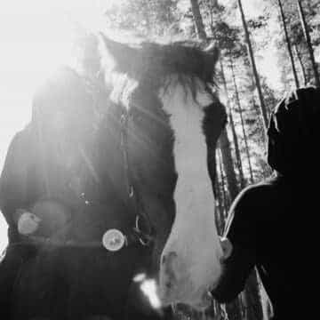 SHXCXCHCXSH – Linear S Decoded LP