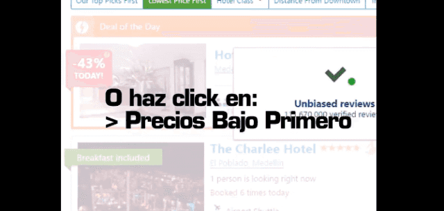 Tutorial: Necesitas Hospedaje para el Freedom desde 20.000 la Noche en Hostal hasta 500.000 en 5 Estrellas