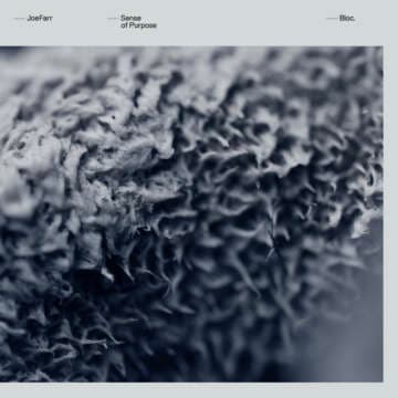 Sense Of Purpose: un álbum de exploración y libertad