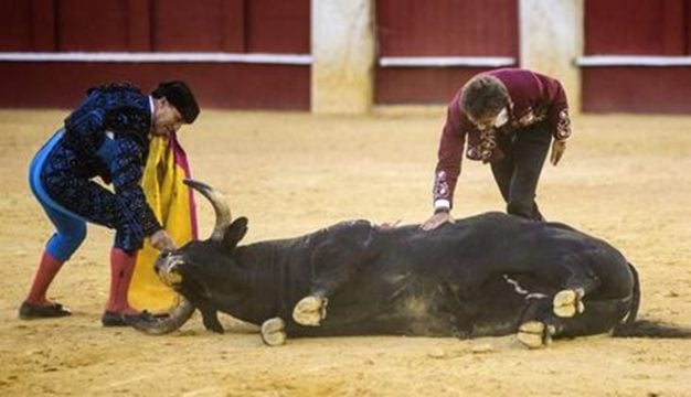 Bruselas aprueba por mayoría absoluta que la UE deja de financiar la tauromaquia