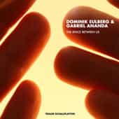 Dominik Eulberg & Gabriel Ananda – The Space Between Us