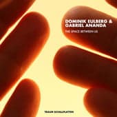 Dominik Eulberg & Gabriel Ananda – The Space Between Us