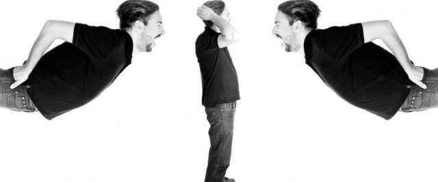 Tripeo continua la serie Trip