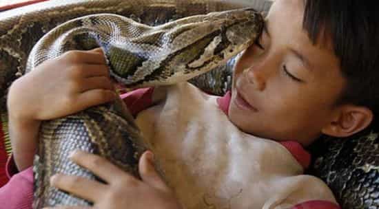 Niño camboyano de 6 años vive con su mascota anaconda desde que tenía tres meses (Fotos)