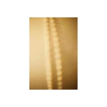 Varg & C. Stadsgaard anuncian su debut en Avian