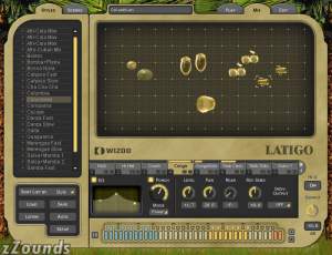 Wizoo Latigo Latin Percussion Soft Synth By Dj Daniel Pupo