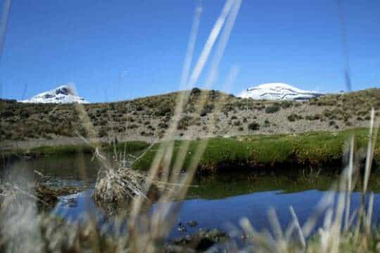 Cuarenta años conservando Los Nevados