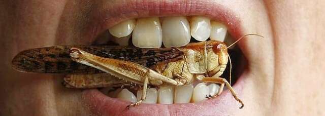 Aprende que son las alucinaciones para evitar preocupaciones innecesarias