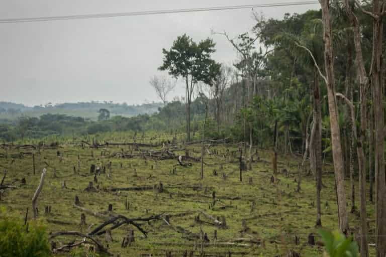 Descubre los cinco desafíos ambientales que quedaron pendientes para este 2021 en Colombia
