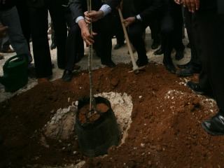 Colombia sembrará 35.000 árboles para disminuir la polución que generará el Mundial Sub-20