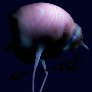 Descarga y escucha de forma gratuita un adelanto del próximo disco de Arca: ”&&&&&”