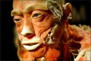 Bodies, en Medellín