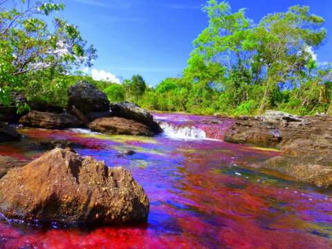 Caño Cristales cerrado por la fuerte sequía
